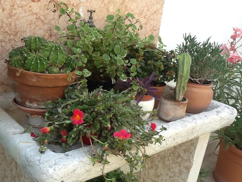 B&B Al Giardinetto Verona Kültér fotó